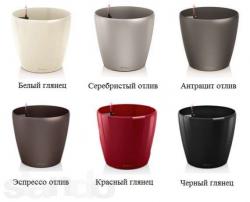 Lechuza Classico Premium 43