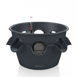 Lechuza Cascada Color для кашло