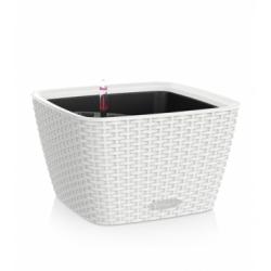 Lechuza Bacino Cottage