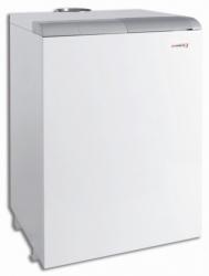 Газовые напольные котлы Protherm 50 ТLO   (медведь)