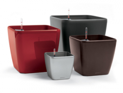 Lechuza Quadro Premium LS 43